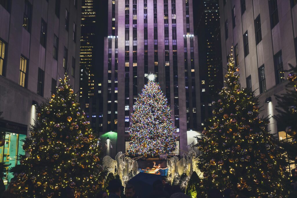 Alex haney xhlpqmqez8s unsplash