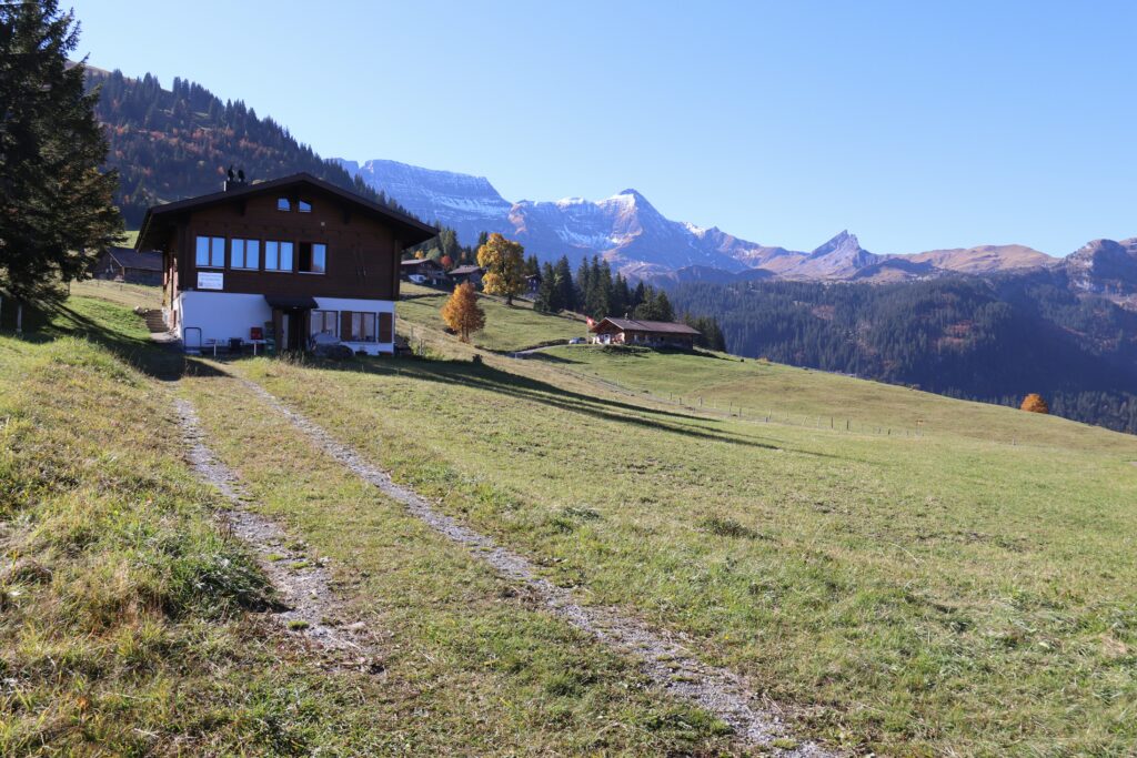 Shalev cohen 3s7Y3Q Rcig unsplash (1)