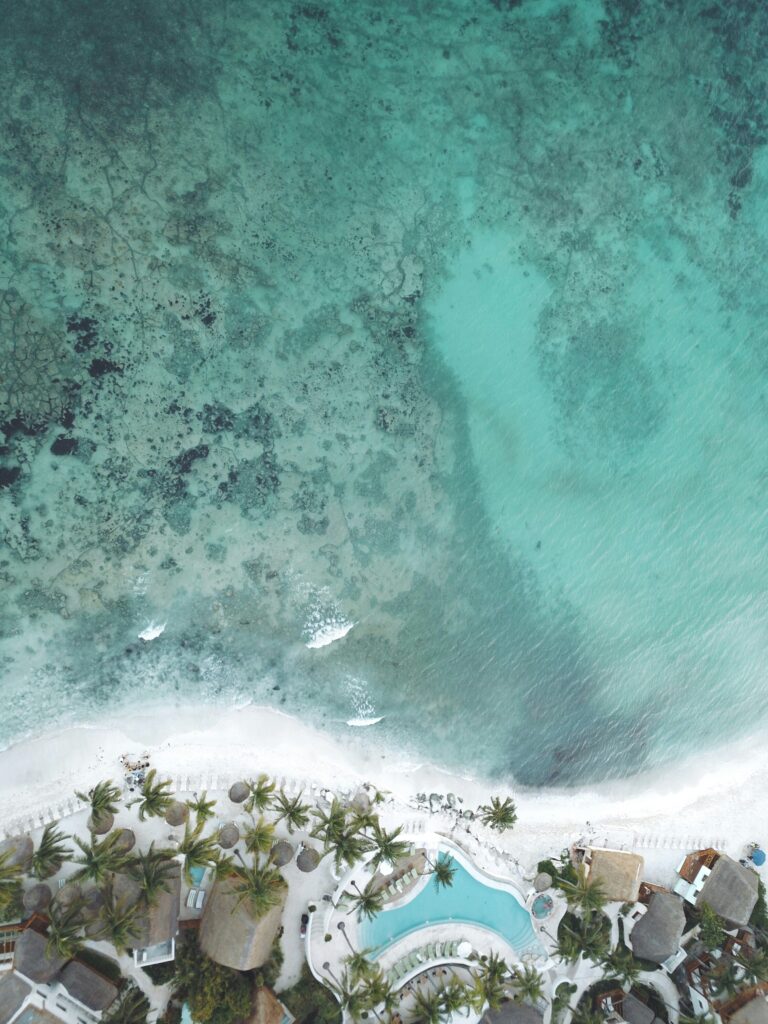 Polina kuzovkova 1dqh46njabo unsplash