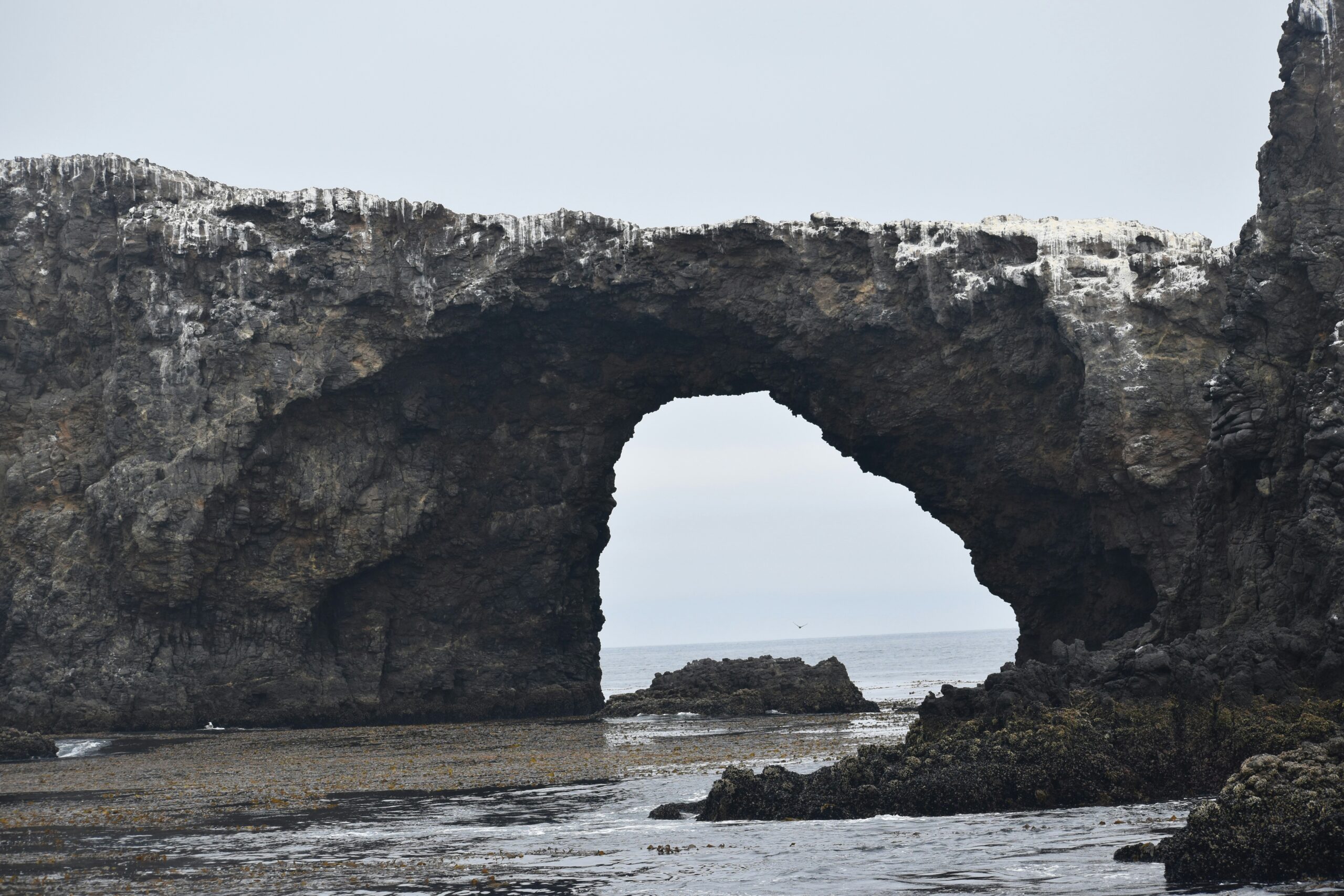 Hayleigh b du6ghv3wmj0 unsplash