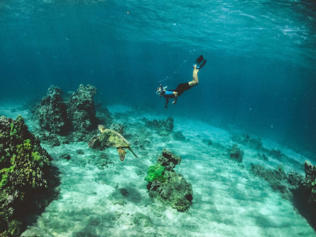 Beach and snorkeling
