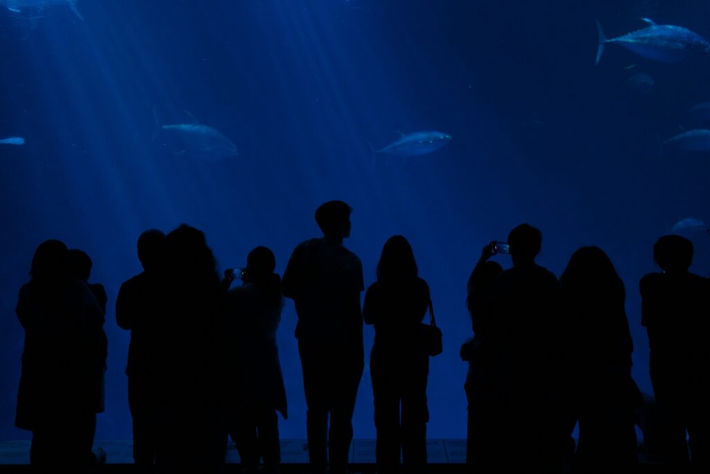 Mason c oROWZsNpTBM unsplash