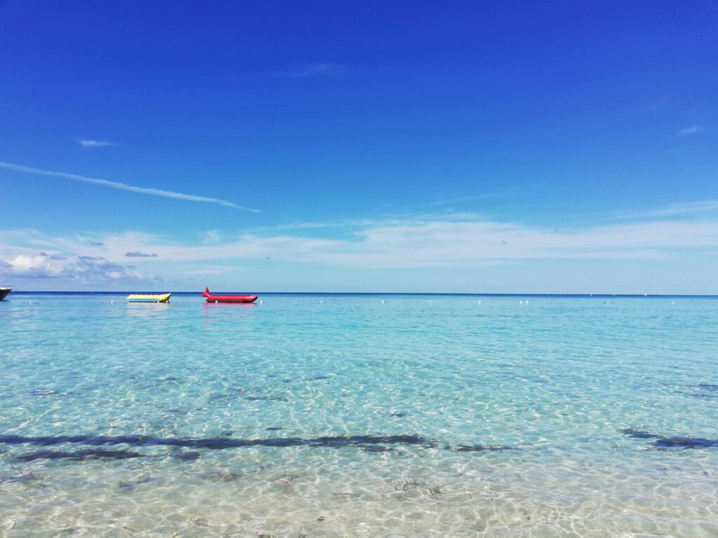 Juliett castle 8MuODV4ZPJc unsplash (1)