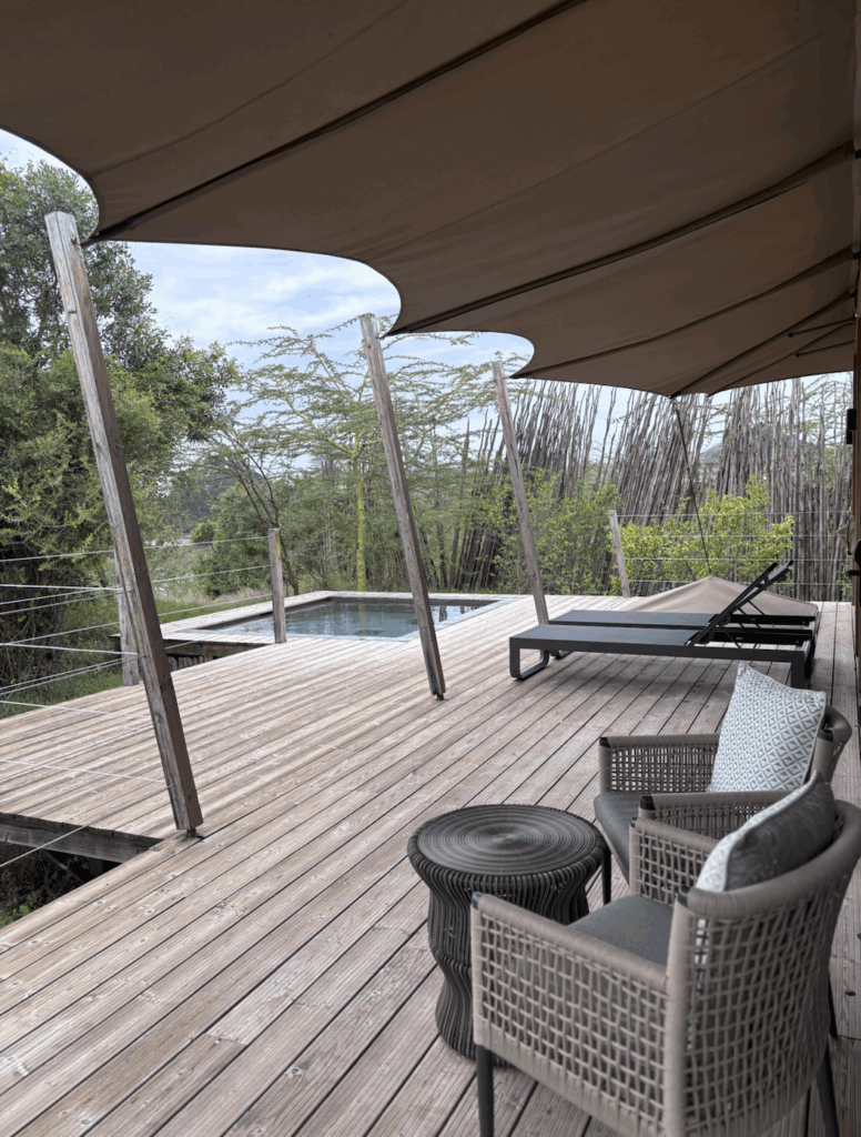 stay at jw masai mara with kids safari