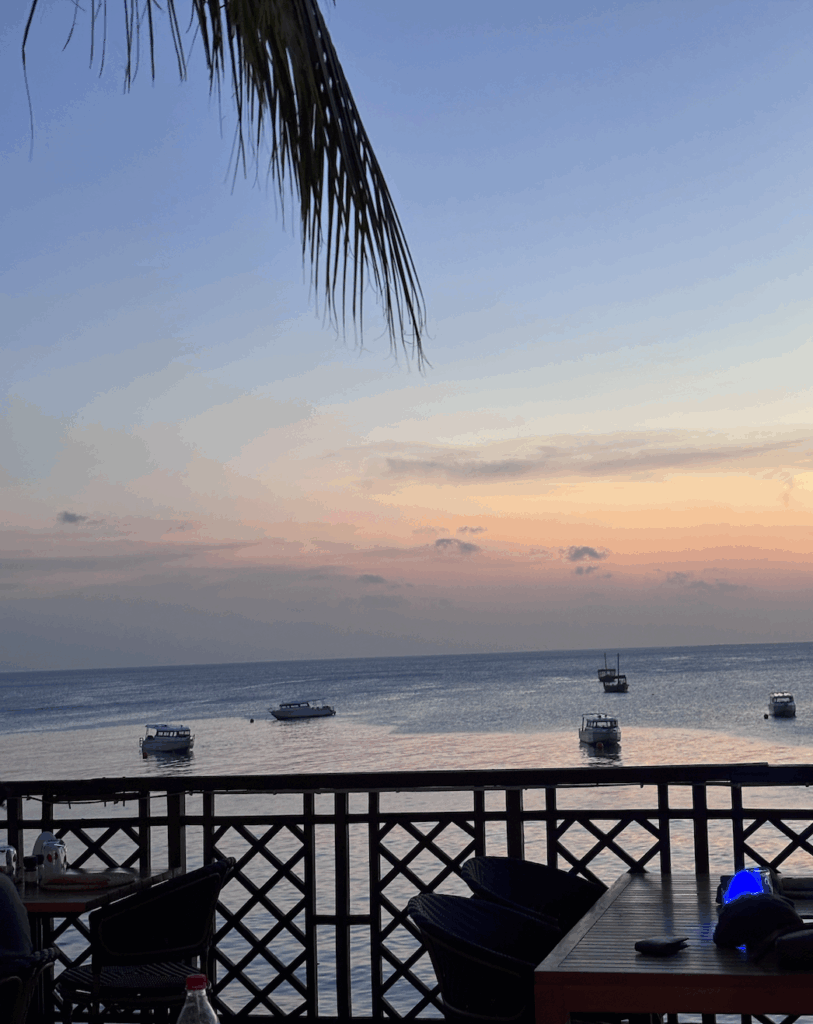 Screen Shot 2026 01 11 at 3.21.51 PM