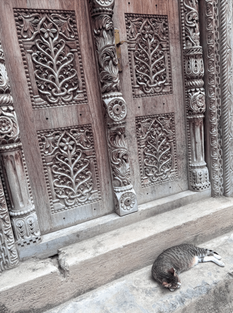 Screen Shot 2026 01 11 at 3.27.37 PM