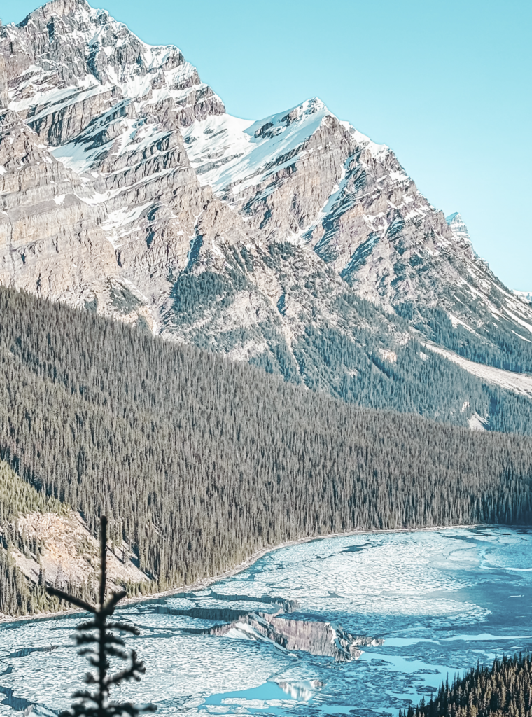 Screen Shot 2026 03 16 at 8.04.15 AM