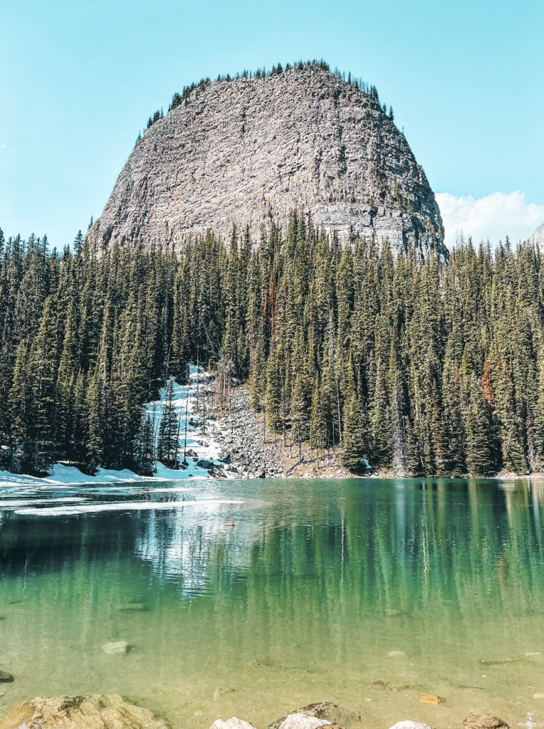 Screen Shot 2026 03 16 at 8.04.21 AM