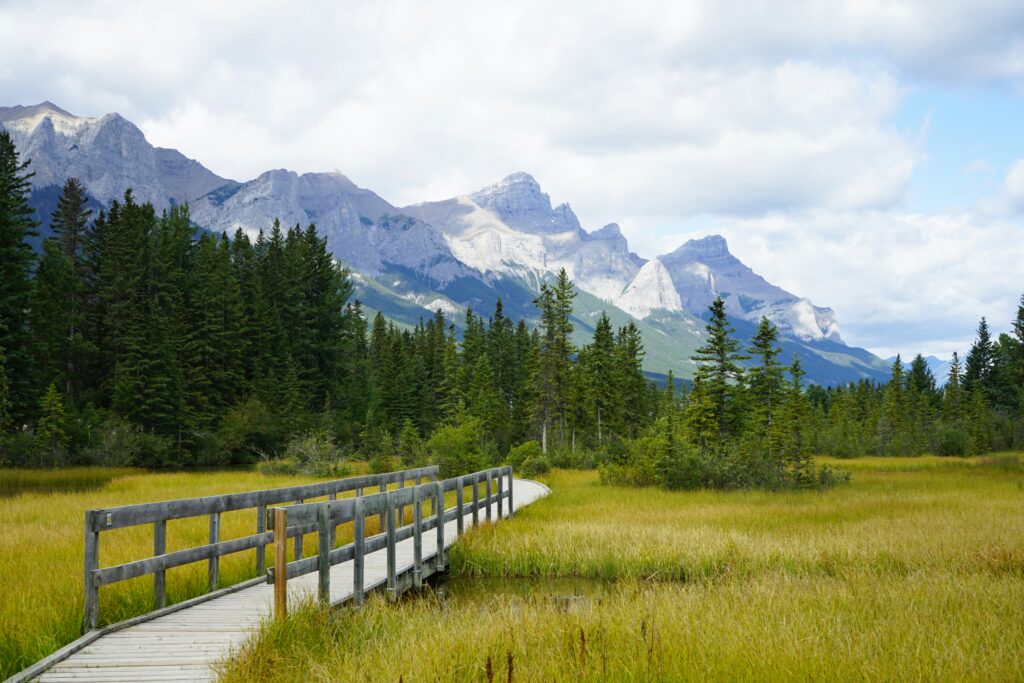 lake louise yoho
